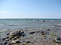 Western Michigan [2010] 795